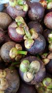 ripe purple fruit