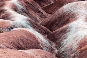 dried brown grass