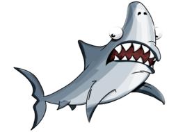 shark jaws fish