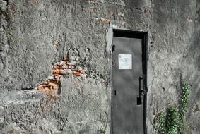 Black door in the building, with the sign, near the green plants, in sunlight