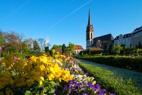 colorful flowers in prince georgs-garden