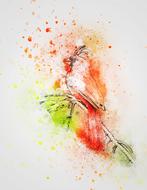 bird red cardinal cute art