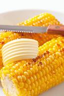 buttered corn