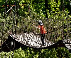 Suspension Bridge Chains