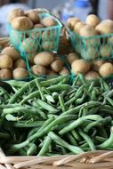 green vegetables and potatoes