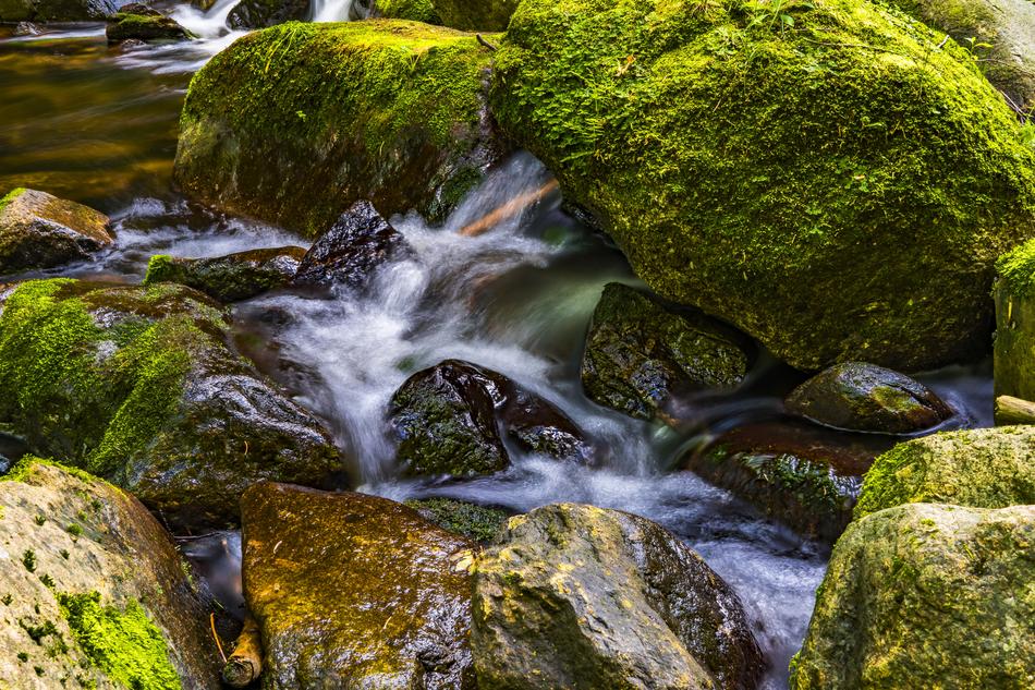 planted waterfall