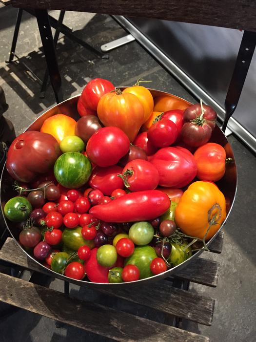 colored vegetables harvest
