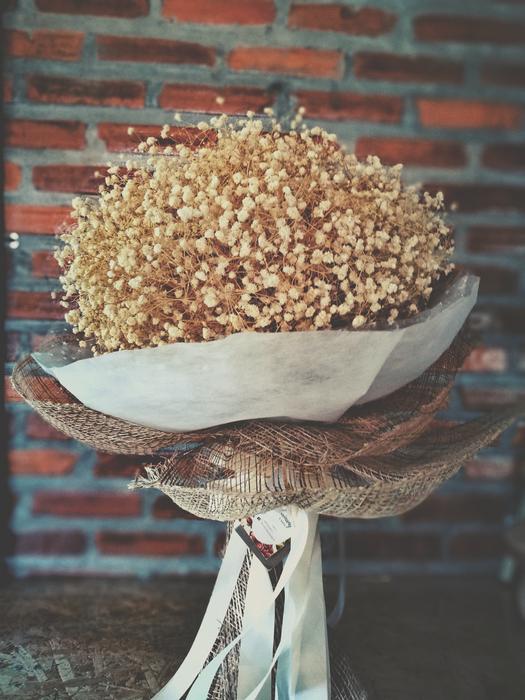 Flower Lovely Love