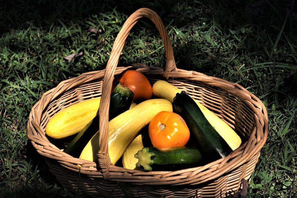 ripe vegetables in a basket