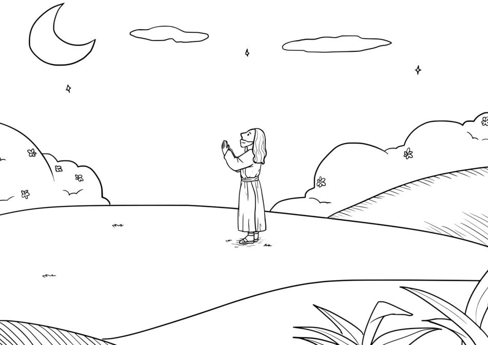 bible ccx story tan chen chen