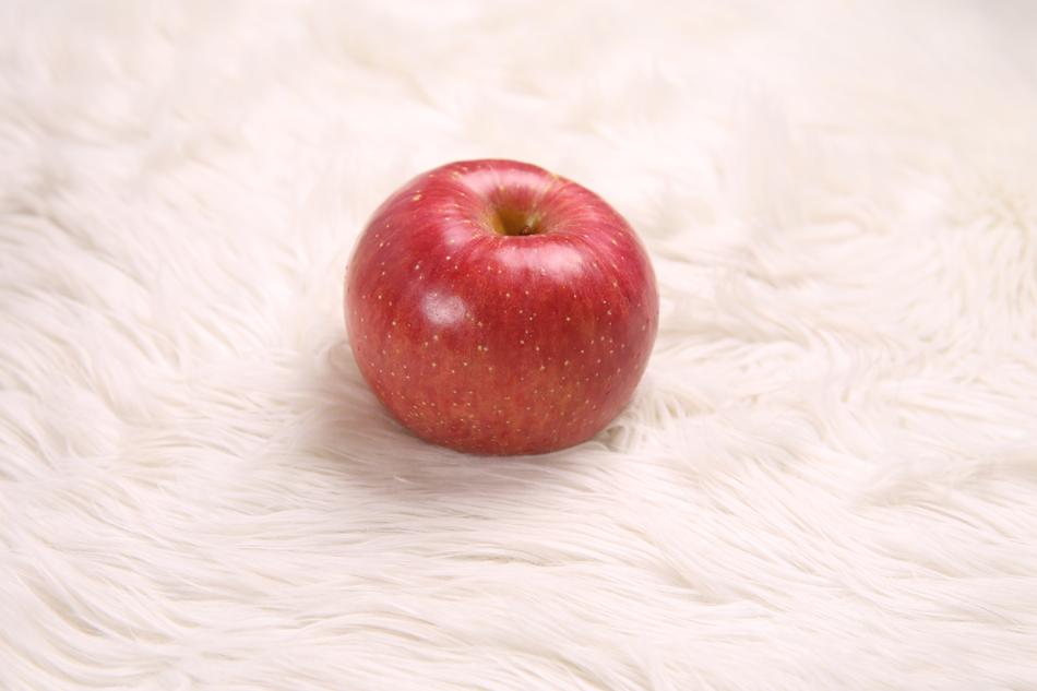 single apple on a white background