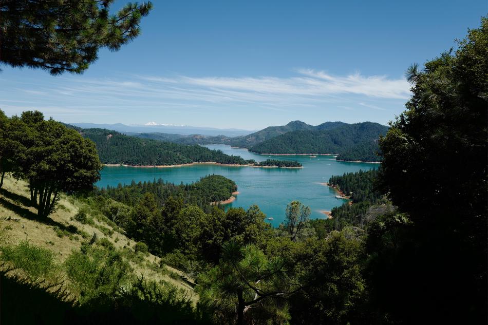 lake view from forest hill
