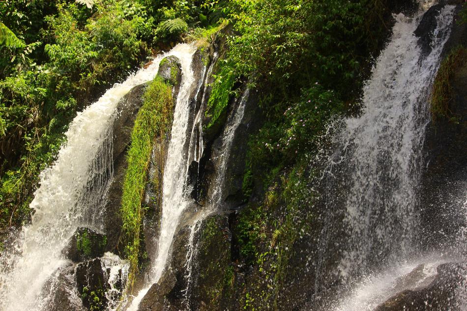 View of a waterfall in the forest