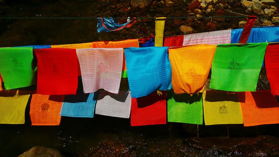Bunting Buddhism Travel The