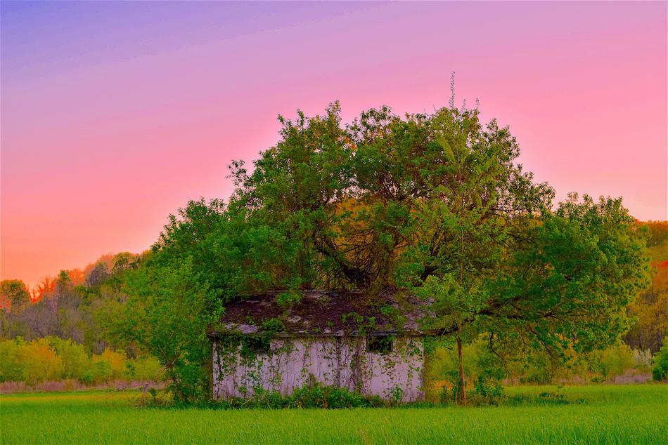 Rustic Shack Run Down