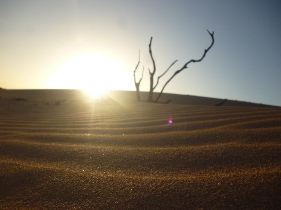 Sand Dry So