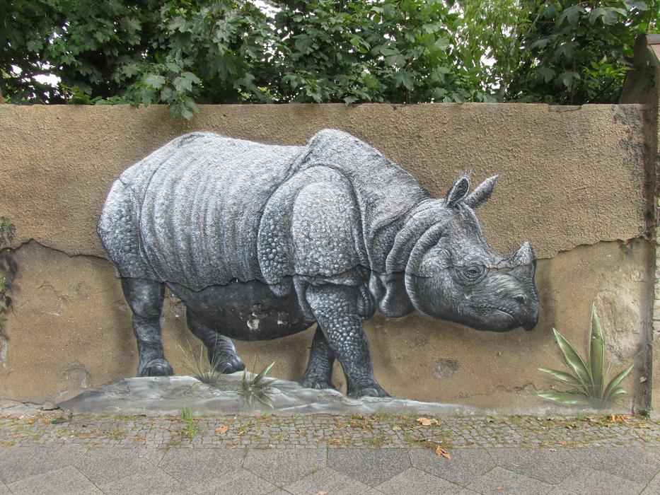 painted rhino on the wall of the zoo in Berlin, Germany