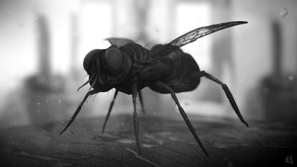 Fly 3D Render blur