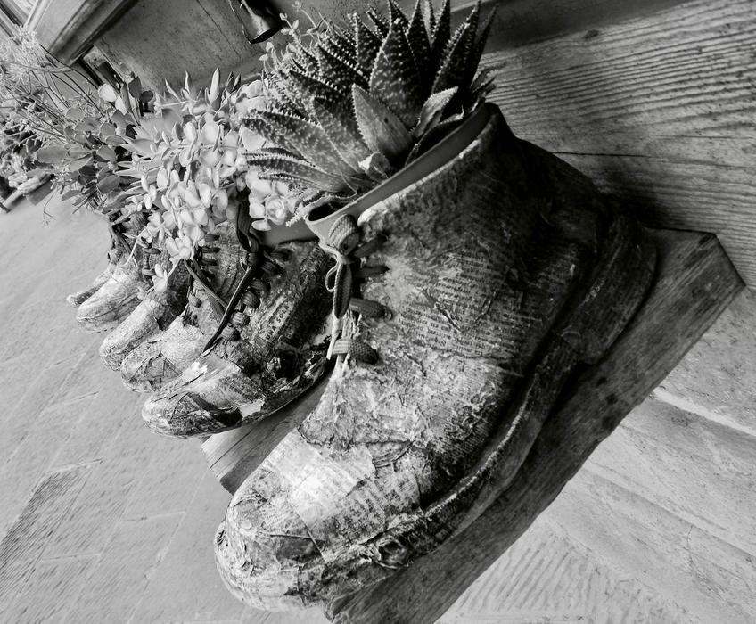 Shoes Flowers Road