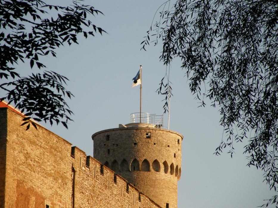 Flag Estonia Long Herman