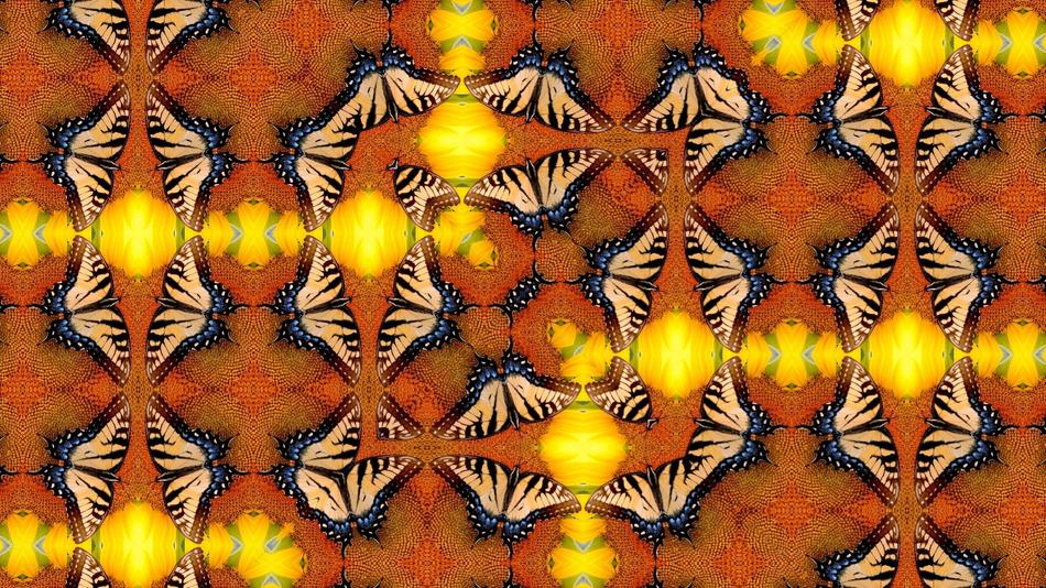 dancing butterfly kaleidoscope colors