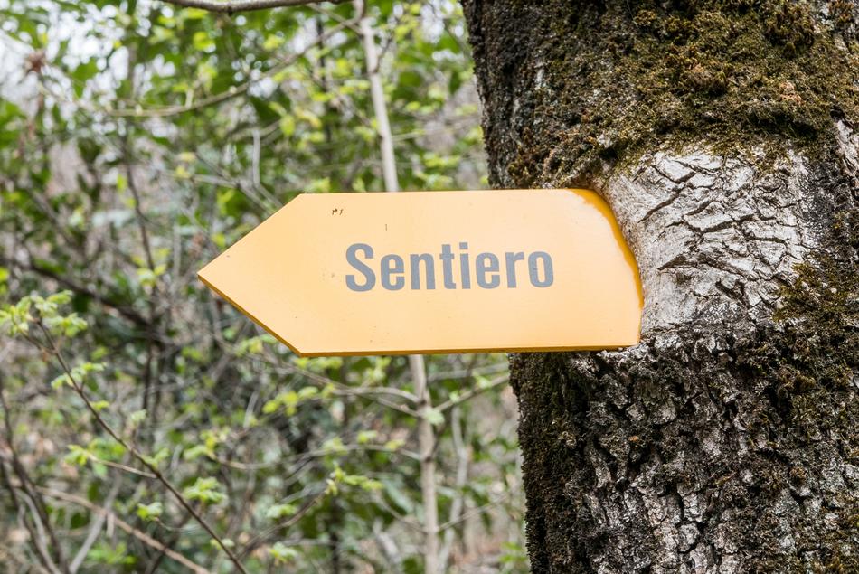 Ticino Maggia Valley Directory