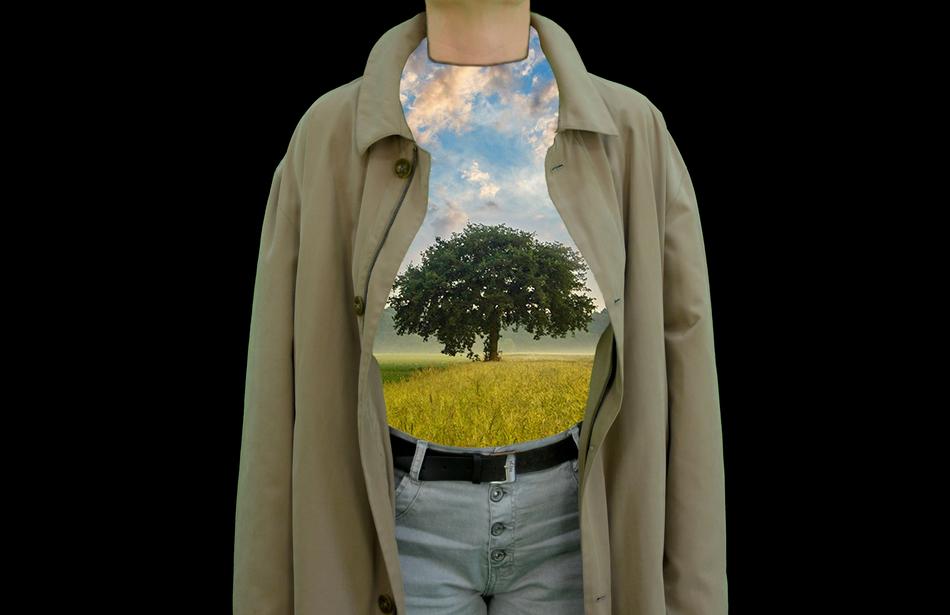 image of a tree on a t-shirt on a mannequin