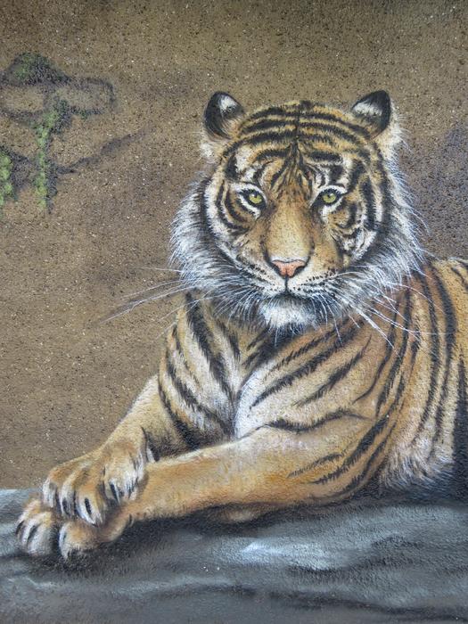 Tiger Wall Art
