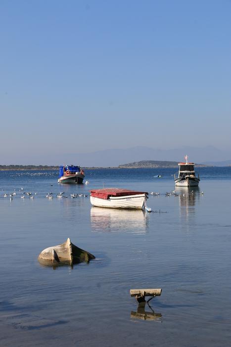 a lonely boat is sailing