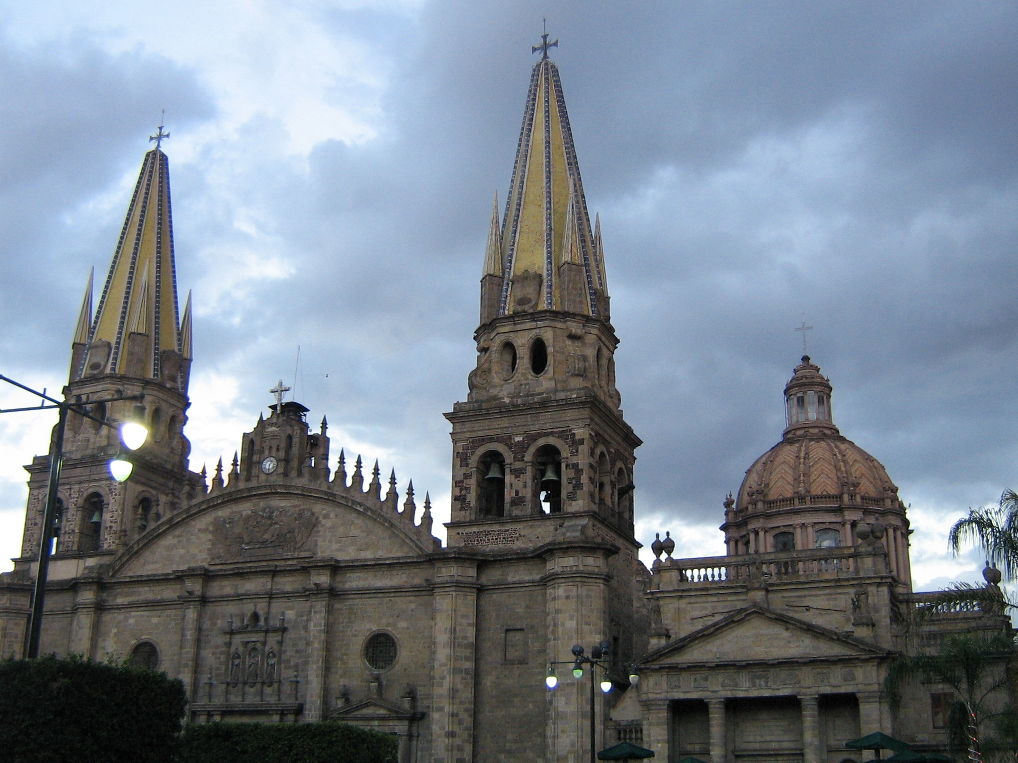 Acompanantes Guadalajara