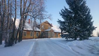 trees with a house in winter
