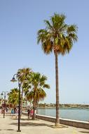 Promenade Harbor