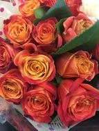 bouquet of colorful roses