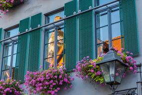 flowers near windows on the facades of historic houses