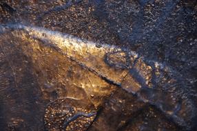 the reflection of the winter sun on ice