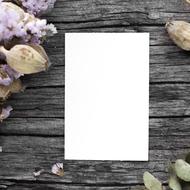 Paper Sheet Old wood