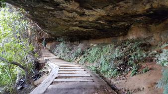 Blue Mountains Nsw Wilderness