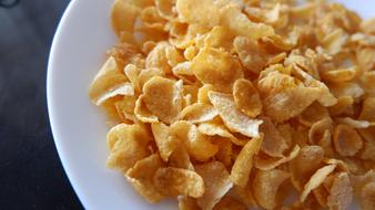 oat flakes dry