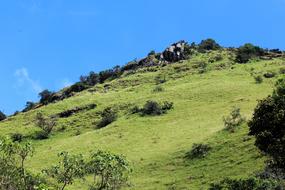 Scenery Sky Green