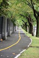 Beautiful bicycle path, among the fence and colorful trees, in MontrÃ©al, Canada