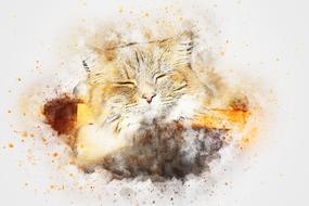 cat kitty animal art abstract