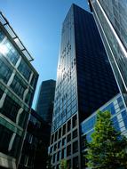 Skyscraper architecture and tree, frankfurt