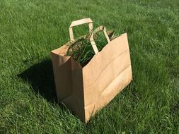 paper Bag Grass Green