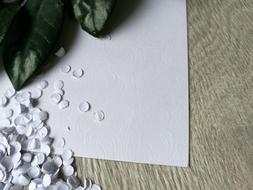 Paper Texture Macro decorative