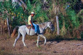 man and horse Nature