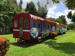 Train Railway Painted