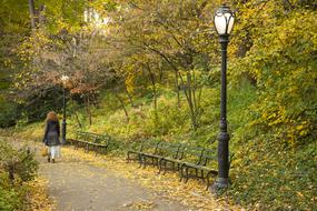 Central Park Nyc Woman