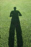 shadow of a man Grass