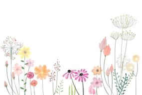 flower petals spring floral