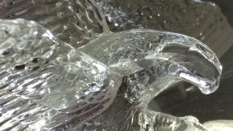 Crystal Glass Bird